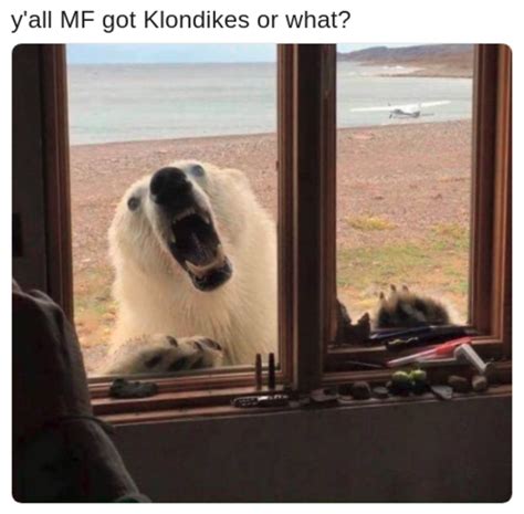 TAP TAP, talking to you, human | What would you do for a Klondike Bar? | Know Your Meme