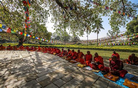 Buddhist Cultural Tour: Explore Sacred Sites and Serene Monasteries ...