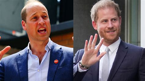 Prince William and Prince Harry reunion dubbed a ‘fantasy': ‘It's not ...