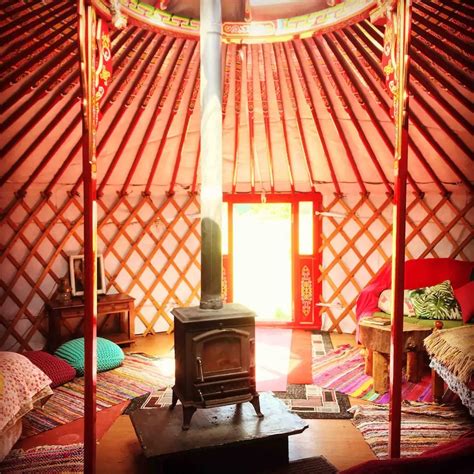 This Mongolian yurt in Cork is available on Airbnb—and it's exotic ...