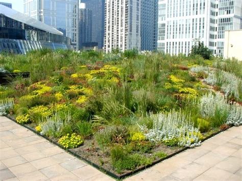 Extensive Green Roof Design