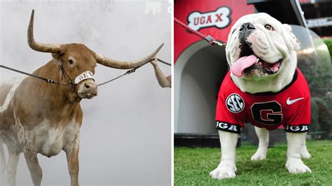 PETA calls for end to live-animal mascots after Bevo, Uga incident at Sugar Bowl