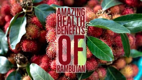 18 Potential Health Benefits Of Rambutan