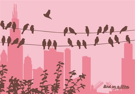 Vector Birds on a Wire 98059 Vector Art at Vecteezy