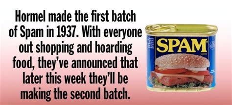 Canned Spam Jokes | Freeloljokes