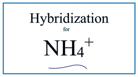 Hybridization for NH4+ (description of hybrid orbitals for Nitrogen ...