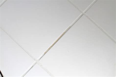 You guys. Tile grout paint = amazing. - The Frugal Girl