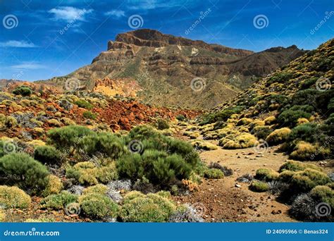 Teide Volcano in Tenerife stock photo. Image of geological - 24095966