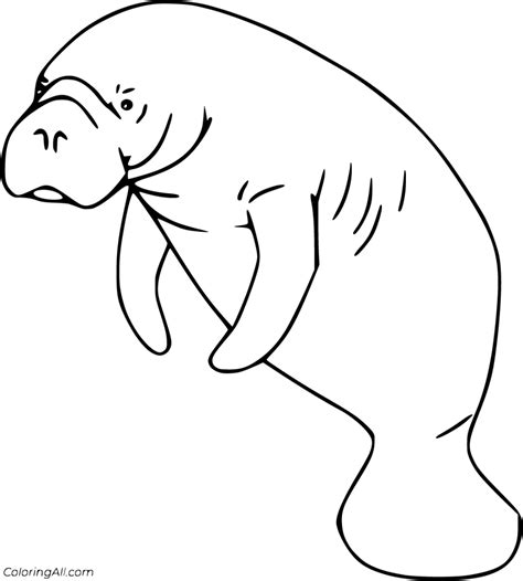 Cute Manatee Coloring Page Coloring Pages