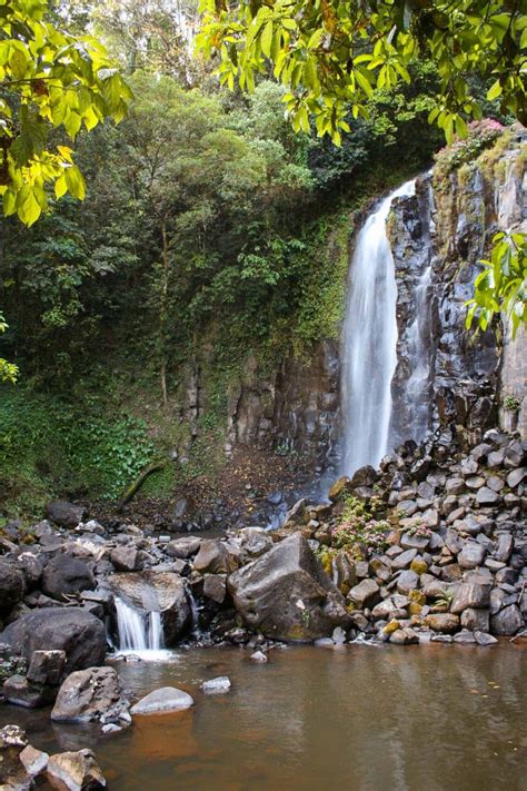 💦 33 Best Waterfalls Near Cairns for some Epic Day Trips