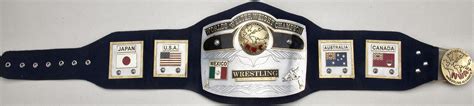 Pin by Douglas Mellott on Wrestling Championship Belts | Classic, Frame ...