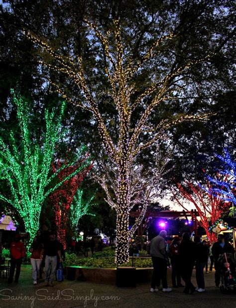 Our 10 Favorite Busch Gardens Christmas Town Moments