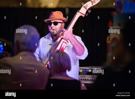 Ace of Cakes Duff Goldman playing string bass performance at AVAM in Stock Photo: 43812397 - Alamy