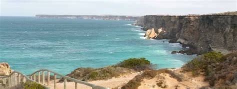 Head of the Bight South Australia | Whale watching, Places ive been, South australia