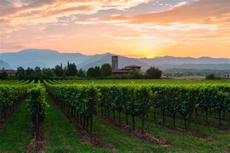 Franciacorta: The Region, The Method, The Wine - SommCon®