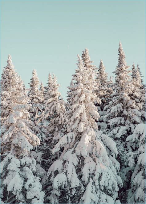 10 Perfect winter wallpaper aesthetic desktop You Can Use It Without A ...