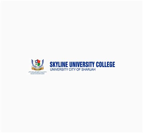 How Skyline University College Increased Their Social Brand Impressions By 448% - TINT ...