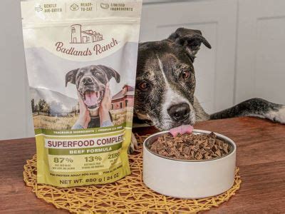 Badlands Ranch Superfood Complete Review: Is It Worth? - Dog Loves Best