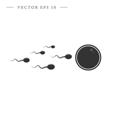 Sperm Egg Illustrations, Royalty-Free Vector Graphics & Clip Art - iStock