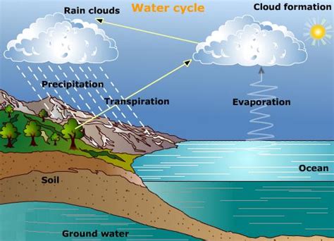 Evaporation Water Cycle Definition images