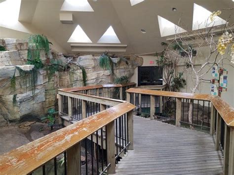 Abilene Zoo - 2019 All You Need to Know BEFORE You Go (with Photos) - TripAdvisor