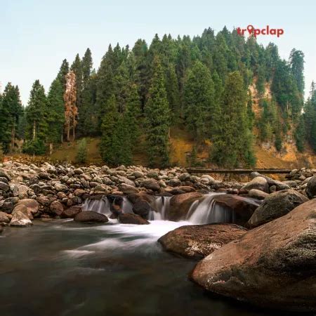 Doodhpathri - an exotic location in Jammu and Kashmir | Tripclap