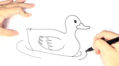 How to draw a Duck for Kids