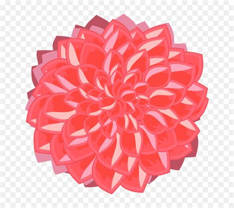 Dahlia Clip art Image Deadheading Drawing - simple flower outline png download - 800*800 - Free ...