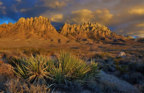 Image result for organ mountains las cruces | National monuments, New ...