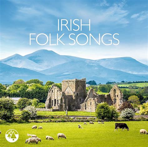 Irish Folk Songs - Various Artists - CD kaufen | Ex Libris