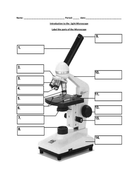 Microscope Parts Diagram | Quizlet