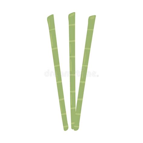 Bamboo sticks botanical stock vector. Illustration of vector - 222294643