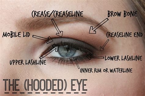 Winged Eye Makeup For Hooded Eyes - Makeup Vidalondon