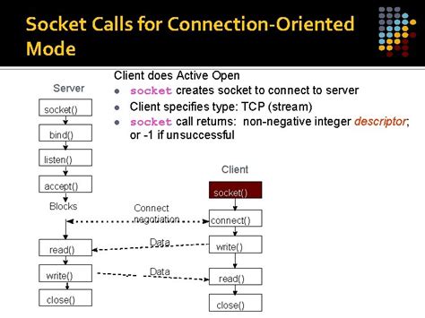 Berkeley API Socket Programming Socket API Application Programming