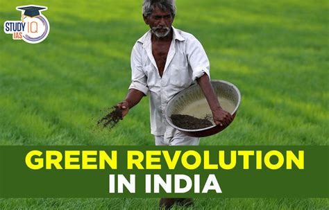 Green Revolution in India Advantages, Impacts & Achievements