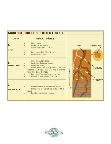 Truffle farming guide | Truffles, Farming guide, Farm