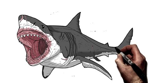 How To Draw Megalodon | Step By Step | Jurassic World - YouTube