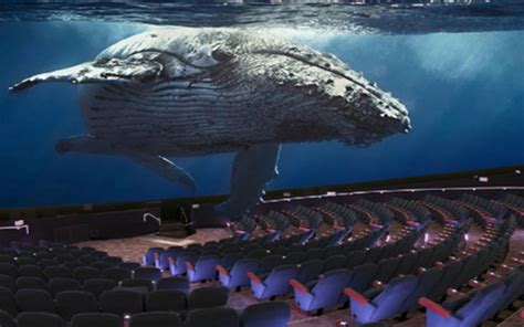 Maui Ocean Center Breaks Ground on New Whale Exhibit | Travel Agent Central