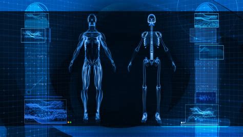 Medical Scan X-Ray Technology Data HD Loop Stock Footage Video 1736965 - Shutterstock