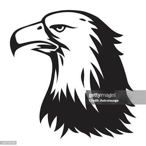 Eagle Head Silhouette Photos and Premium High Res Pictures - Getty Images