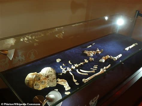 Pair of ancient skeletons represent same species of human ancestor ...