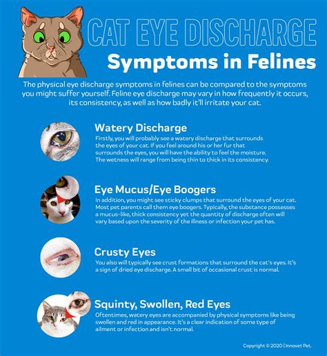 Cat Eye Discharge- Innovet Pet