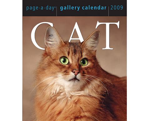 cat calendars