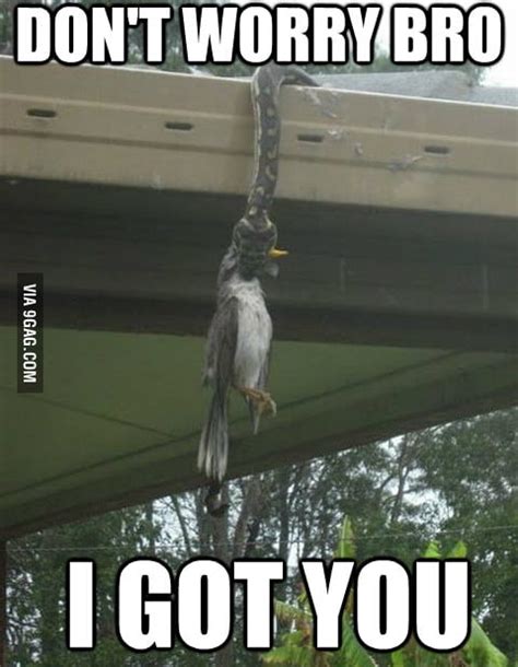 I got U bro - 9GAG