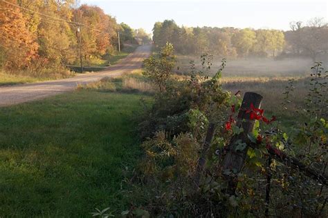 Autumn colors in rural Minnesota | Minnesota Public Radio News