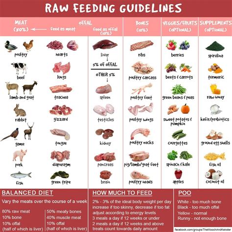 The 25 Best Raw Dog Foods In 2020 | Raw Feeding For Dogs | Raw Pet Food | Raw dog food recipes ...