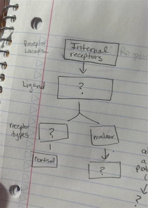 Solved Internal receptors | Chegg.com