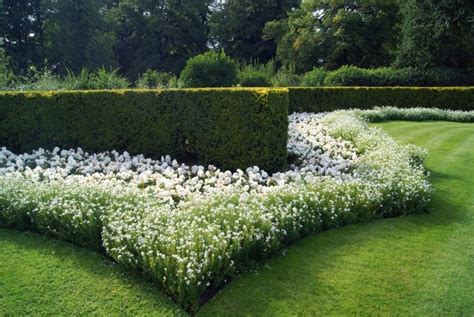 37 Best Flower Hedge Ideas: #23 is So Easy!