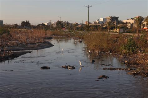 Sewage destroys a Gaza sanctuary | The Electronic Intifada