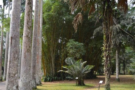 7 Of The Most Beautiful Gardens In Africa - Travel Noire